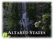Altared States
