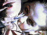 xngjw48.gif - 4.5 K