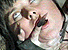 xngjw56.gif - 4.8 K