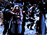 salmoniuscrossdressing.gif - 3.7 K
