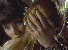 xnarc08.gif - 4.1 K