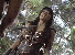 xnarc16.gif - 4.6 K