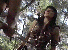 xnarc18.gif - 4.5 K