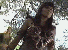 xnarc19.gif - 4.0 K