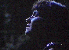 xnarc23.gif - 3.0 K