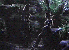 xnarc24.gif - 3.5 K
