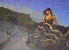 xnarc31.gif - 3.9 K