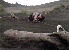 xnarc35.gif - 4.0 K