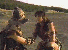 xnarc40.gif - 3.8 K